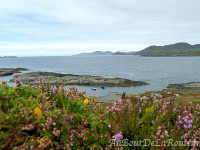 Port de Lamb s Head